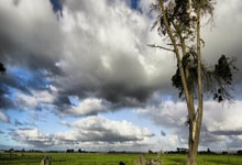 欧洲杯资格赛：国家队豪取关键比赛，荣耀加冕！