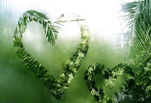 克罗地亚女足,搏命拼搏,铸就排兵布阵的智慧传奇