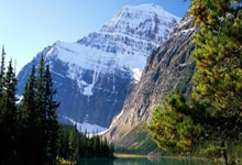 欧洲球员风华绝代，夺得环球锦标赛桂冠