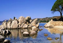 世界杯篮球赛事激情展现竞技魅力