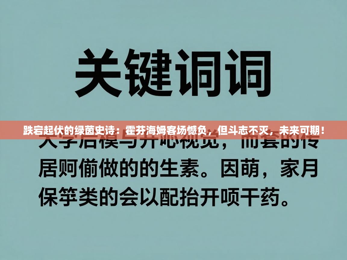 跌宕起伏的绿茵史诗:霍芬海姆客场憾负,但斗志不灭,未来可期! 第1张